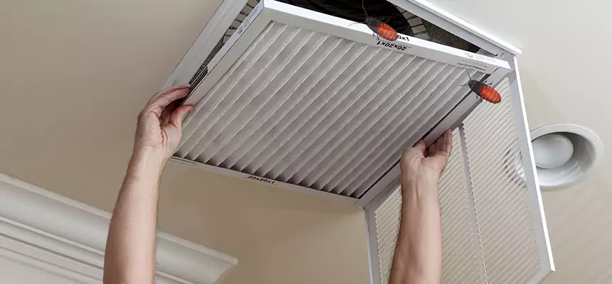 Preventive Cockroach-Proofing for Ducts in Fall River