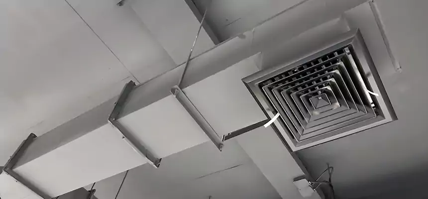 Our Rodent Droppings In Vents Services in Fall River, MA