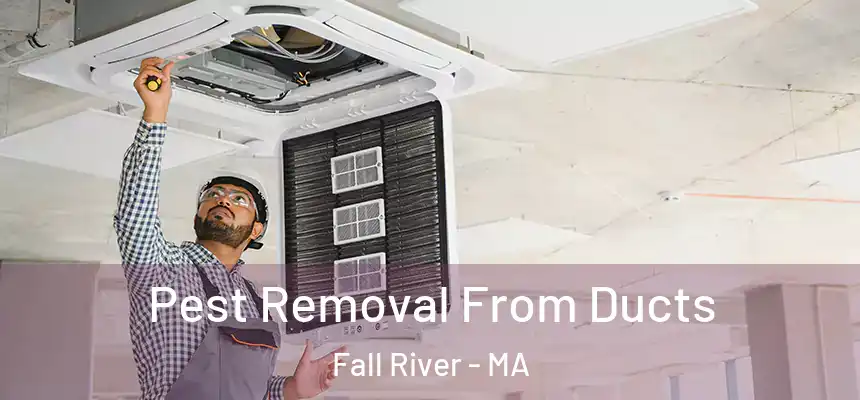 Pest Removal From Ducts Fall River - MA