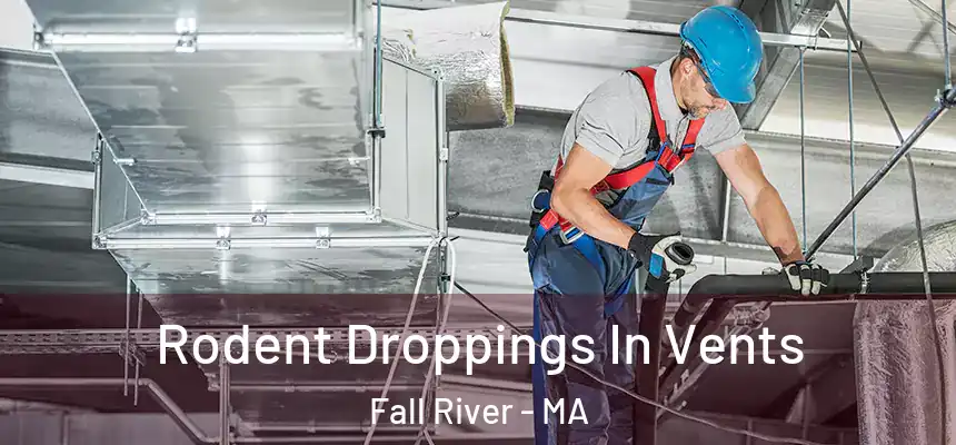 Rodent Droppings In Vents Fall River - MA