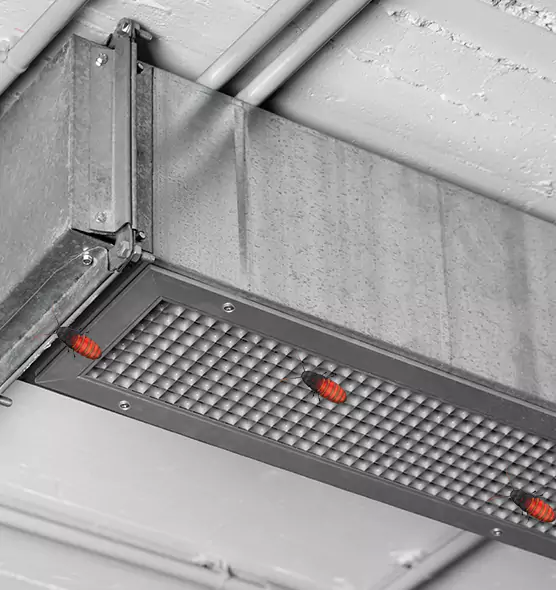 About Air Duct Cockroach Removal in Fall River, MA