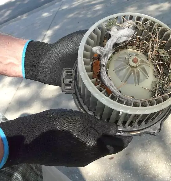 About Air Duct Mice Removal in Fall River, MA