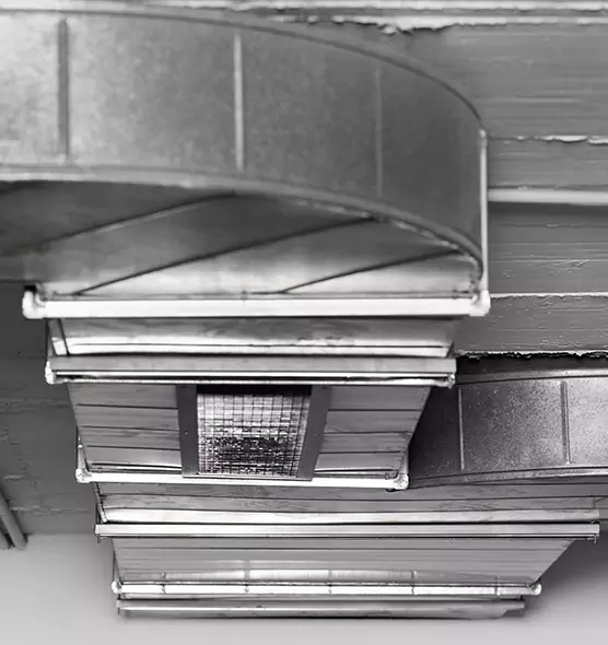 Professional Air Duct Pest Removal in Fall River, MA