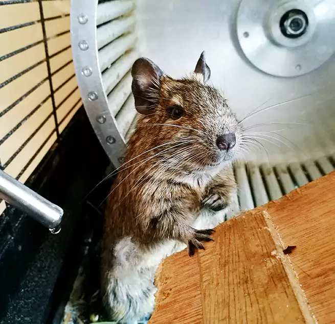 Why Homeowners & Businesses Trust Us Fall River, MA